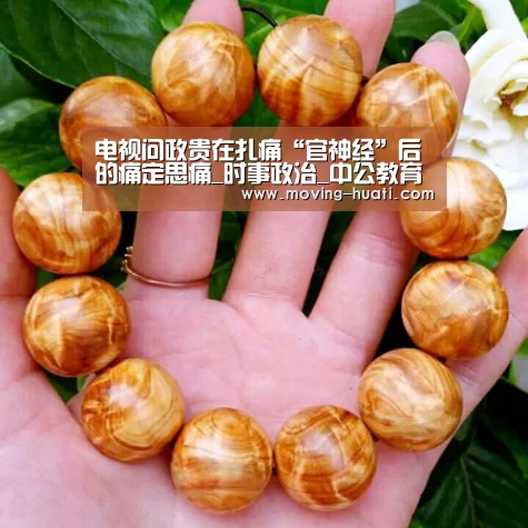 电视问政贵在扎痛“官神经”后的痛定思痛_时事政治_中公教育网|华体会官方网站入口(图3) 华体会官网下载