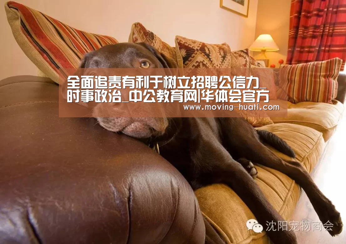 全面追责有利于树立招聘公信力_时事政治_中公教育网|华体会官方平台(图1) 华体会官方网站入口